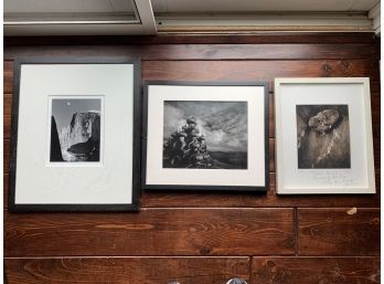Lot Of 3 Black And White Framed Photos