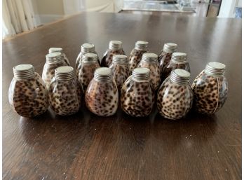 Collection Of 8 Sets Of Shell Salt And Pepper Shakers