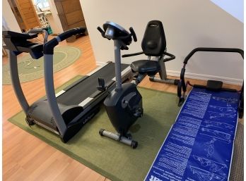 Lot Of Gym Equipment - Lifespan Treadmill TR4000, Schwinn 212, Ab Roller And Exercise Mat