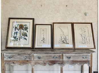 Collection Of 4 Framed Botanical Prints