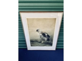 Framed Signed Kaiko Moti Print Of An Eagle