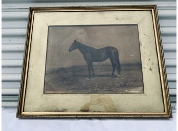 Signed And Framed 19th Century Horse Watercolor- Signed Schreiger  - Gold Mat With Gold Frame - Schreiber 89