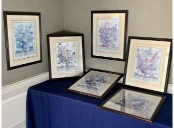 Set Of 6 Dark Wood Framed Botanical Prints