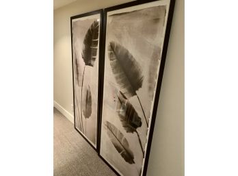 Pair Of Framed Feather Prints