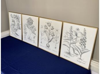 Set Of 4 Black And White Gold Framed Prints