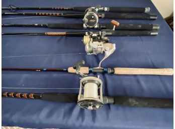 Collection Of 6 Fishing Rods -  Shakespeare, Penn, Star.