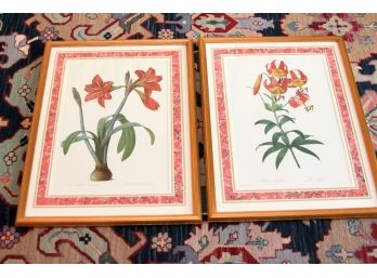Pair Of Framed Lily Floral Botanicals