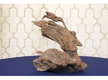 Piece Of Driftwood - Used As Sculpture