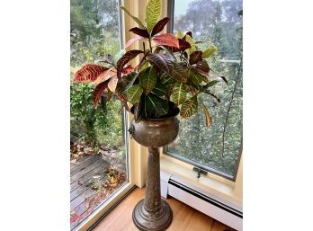 Plant On Brass Plant Stand