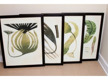 Set Of Botanicals - Green And Brown In Brown Wood Frames