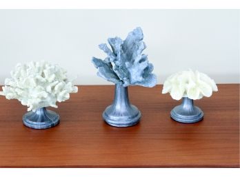 Set Of Decorative Coral On Stands