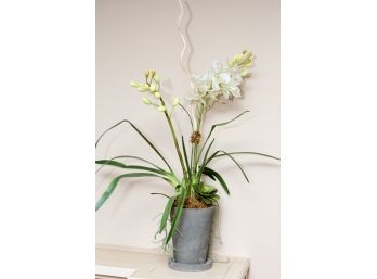 Faux Orchid & Succulents