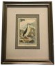 Pair Antique 18thC 1781 Matted Framed Hand-Colored Etchings