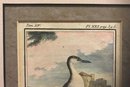 Pair Antique 18thC 1781 Matted Framed Hand-Colored Etchings