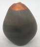 Large Vintage Carved Seed With A Face Painted Copper, Bottom Signed Emmett, 3.25'W X 2.5'D X 4'H