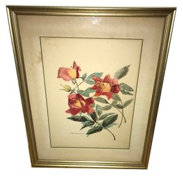 Vintage Framed And Matted Water Of Roses Color Signed F. Geisberger