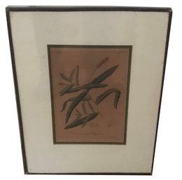 Antique 1823 Original Copper Plate Engraving Hand Colored Lead Came Frame Matted Etching Of Foliate Subject