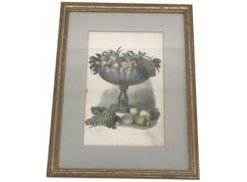 Antique Well Framed And Matted Pencil Drawing Of Fruit Compte
