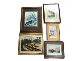 5 Framed Vintage Prints
