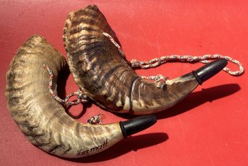 2 Pcs Vintage Jewish Ram's Horn Shofar Musical Horns, 8.5' X 4'