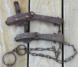 2 Pcs Vintage Oneida Victor Small Hunter's Trap, With Chain & Stake, 8' & 9' (Not Including Chain)