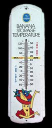 Vintage Chiquita Banana Advertising Storage Temperature Lithographed Storage Wall Thermometer, 8-1/8' X 27'T