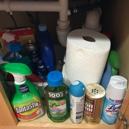 Door Of Various Cleaning Products