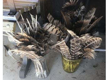 168 Pcs Mostly Turkey Feathers