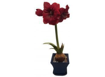 20thC High-End Decorator Artificial Blooming Christmas Red Amaryllis Bulb In Blue Ceramic Planter With Base
