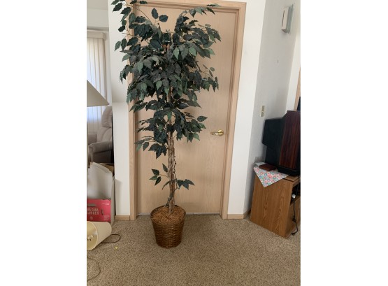 6' Faux Potted Tree In Basket Planter