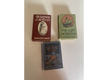 Lot Of 3 Vintage Books 1920s And Older Incl Last Of The Mohicans, IN Animal Land, & Shepard Of The Hill's