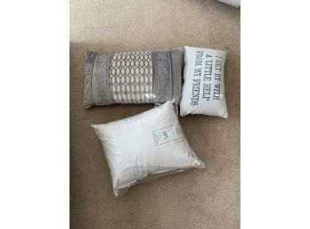 Lot Of 3 Throw Pillows Blue And Grey Coloring And 1 Insert