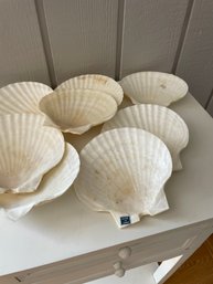 Vintage Large Scallop Shell Plates - Made In Japan, Set Of 8