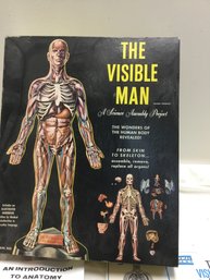 The Visible Man A Science Assembly Project Appears Complete