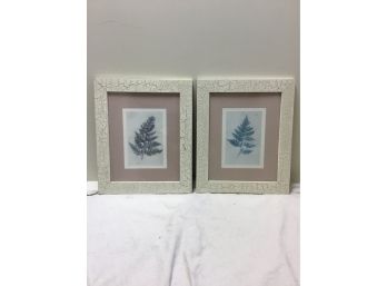 Set Of 2 Fern Prints In Crackle Frames